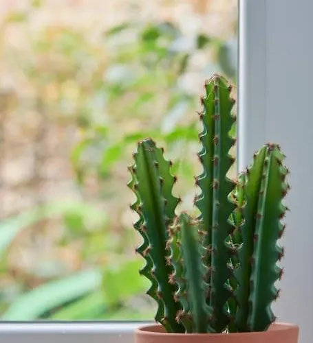 Διαμέρισμα Charming Duplex With Private Terrace And Parking