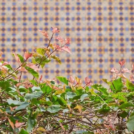 Charming Duplex With Private Terrace And Parking