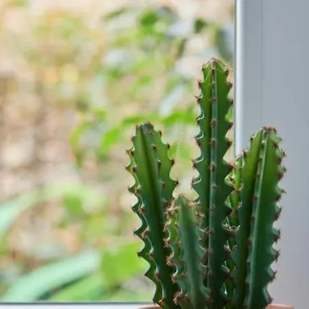 Apartamento Charming Duplex With Private Terrace And Parking